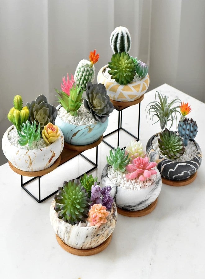 ARTKETTY Succulent Pots - 7.3 Inch Large Succulent Planters with Drainage Ceramic Bonsai Pots with Tray, Shallow Planters for Indoor Flower Plants Marble Cactus Planter Bowl - Image 5
